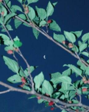 Created with RNI Films app. Preset 'Agfa Optima 200'