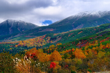 Naklejka premium 十勝岳の紅葉