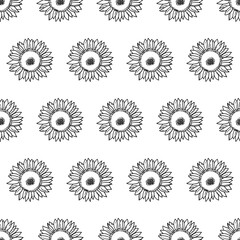 Vector seamless pattern with sunflowers. Black and white illustration