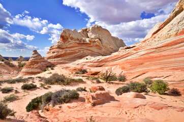 Fototapeta premium White Pocket Rock Formations in the Vermilion Cliffs National Monument in Arizona, USA