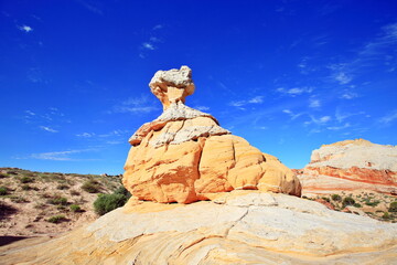 Fototapeta na wymiar White Pocket Rock Formations in the Vermilion Cliffs National Monument in Arizona, USA