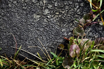 cracked roofing material and grass