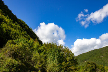 Fototapeta na wymiar clouds over the forest (Valnerina) Marche, Italy