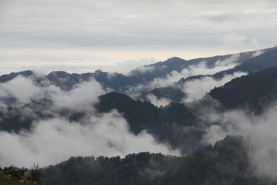 Ocean of clouds