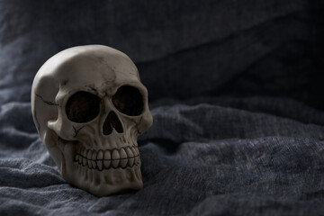 Skull on dark background. Copy space.