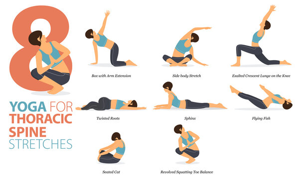 8 Yoga poses or asana posture for workout in Thoracic spine stretch concept. Women exercising for body stretching. Fitness infographic. Flat cartoon vector