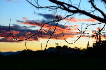 Obraz premium Paisajes