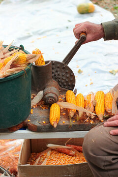 Old manual corn shucker, stripping and grinding of corn cobs
