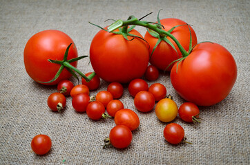 Ripe, fresh, red tomatoes on a coarse burlap