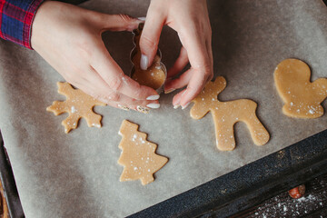 Raw gingerbread dough cookies before baking