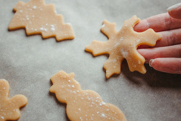 Raw gingerbread dough cookies before baking