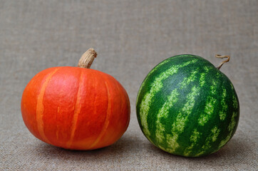 Berry and vegetable. Watermelons and pumpkin on coarse burlap