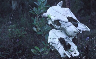 Les outrages du temps