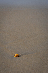 SAND 2