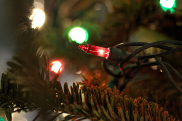 Close up of a red Christmas string light bulb