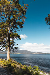 pristine beach landscape in Verona Sands in Tasmania, Australia near Peppermint Bay