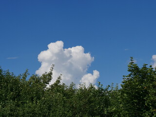 blue sky with clouds