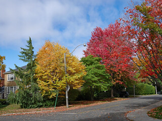 Residential street with trees in fall colors