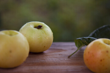 apples with water drops on the rustic wooden table in the garden