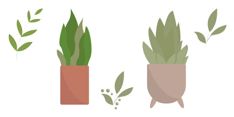 set of home plants and leaves