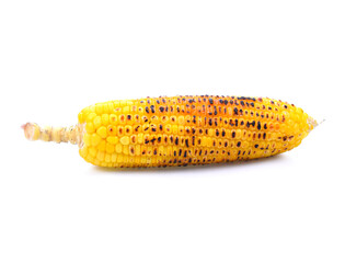 toasted corn on white background closeup