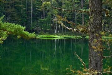 長野みしゃが池の初秋