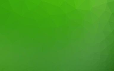 Light Green vector polygon abstract layout.