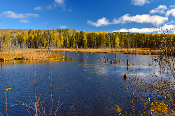 Little lake with fall colors in Canadian forest, Quebec