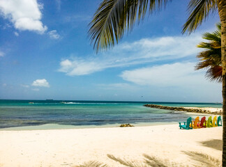 beach with palm trees of aruba
