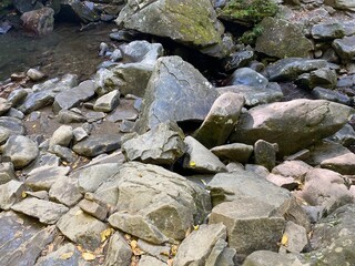 rocks in the river