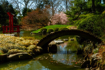 Fototapeta na wymiar Japanese gardens