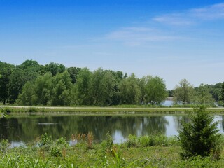 Fototapeta premium Scenic lakeside at Chickasaw National Recreation Area in Davis, Oklahoma