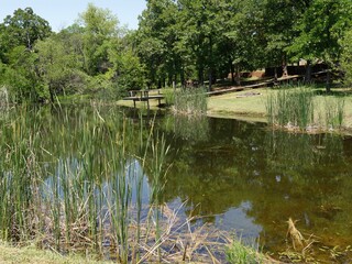 Swampy pool of water with reflections of the skies and bushes in the water