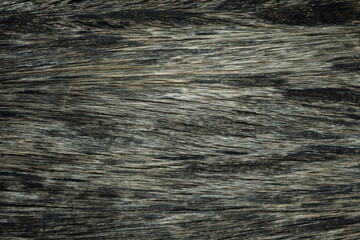 Naklejka premium old wood texture