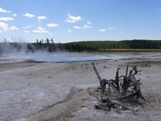 Wide shot of the Lower Geyser Basin, with steam rising up from a geyser at Yellowstone National Park.