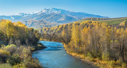 Fototapeta na wymiar River, forested banks and a snow-capped peak. Sunny autumn day.