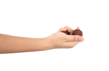 Holding Wenwan walnut in one hand in front of white background on display