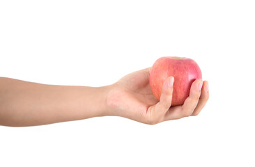 Holding an apple in one hand in front of white background