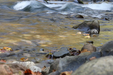 water flowing over rocks