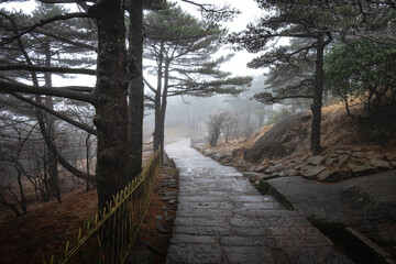 The natural walk way on the Huangshan mountain in the winter season, Anhui Province in eastern of China.
