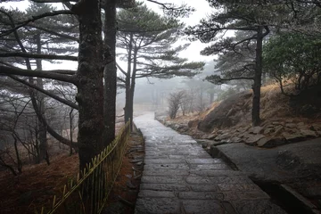 Cercles muraux Monts Huang The natural walk way on the Huangshan mountain in the winter season, Anhui Province in eastern of China.