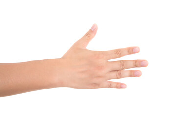 In front of white background, one hand stretches out fingers to make four gesture
