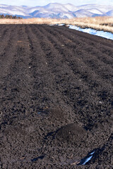 春を待つ黒土の畑