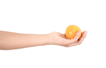 A hand holding an orange outstretched in front of a white background