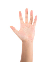 A palm with five fingers spread out in front of a white background