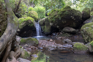 Fototapeta premium waterfall in the forest