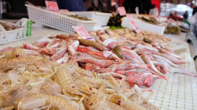 Fresh seafood, shellfish and fish in Ortygia Market, Syracuse, Sicily