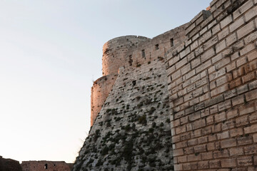 Krak des Chevaliers Crusader castle in Syria - obrazy, fototapety, plakaty