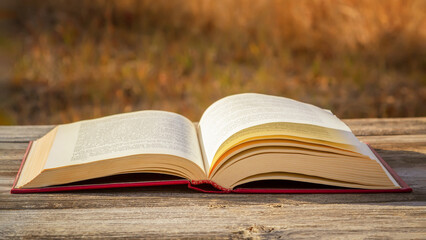 Open book in the autumn park.
