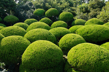 Oedo Botania garden in Oedo Island, South Korea